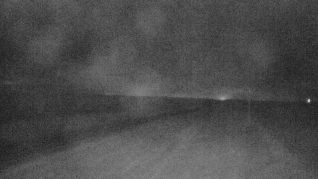 Oyen: Hwy 9: at Field Access near Sibbald