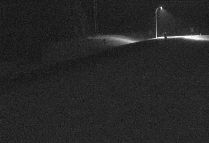 Edson: Hwy 16: West of Hwy 47 near