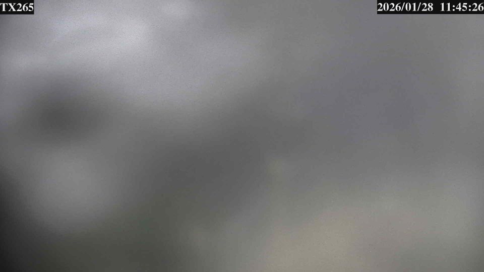 Phatthalung: Wat Phupha Pimuk Munuicpal School (Sophon Phatthalung Kul)