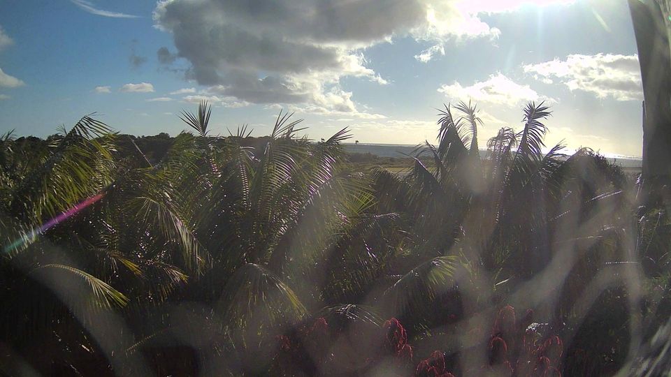 Lord Howe Island › South: YLHI -> South