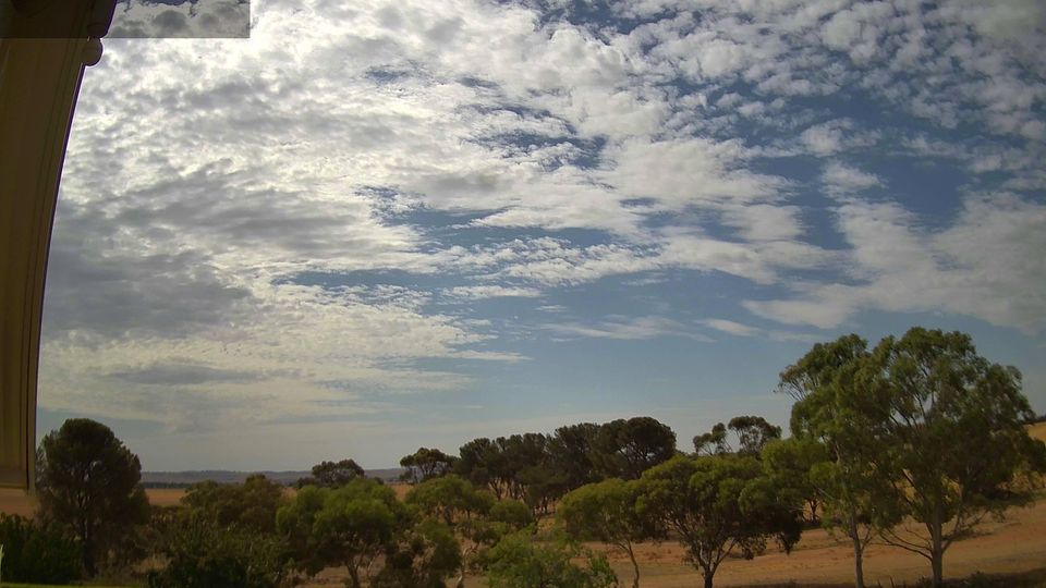 Coburg North › North-west: Dalmore -> NW