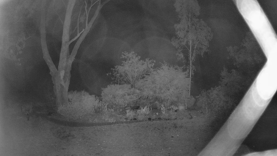 Rowsley › South-west: Coongulla -> SW