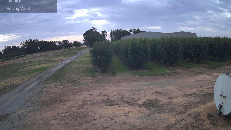 Loftville › West: Lennes Orchards -> West