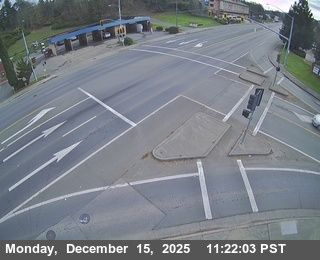 Willits: SR20: Evergreen