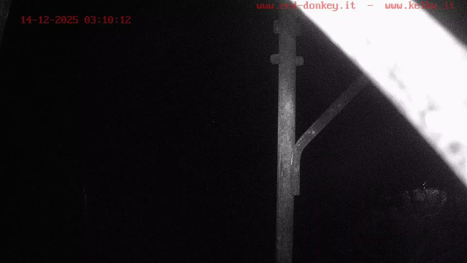 Alghero - L'Alguer: Capo Caccia panorama