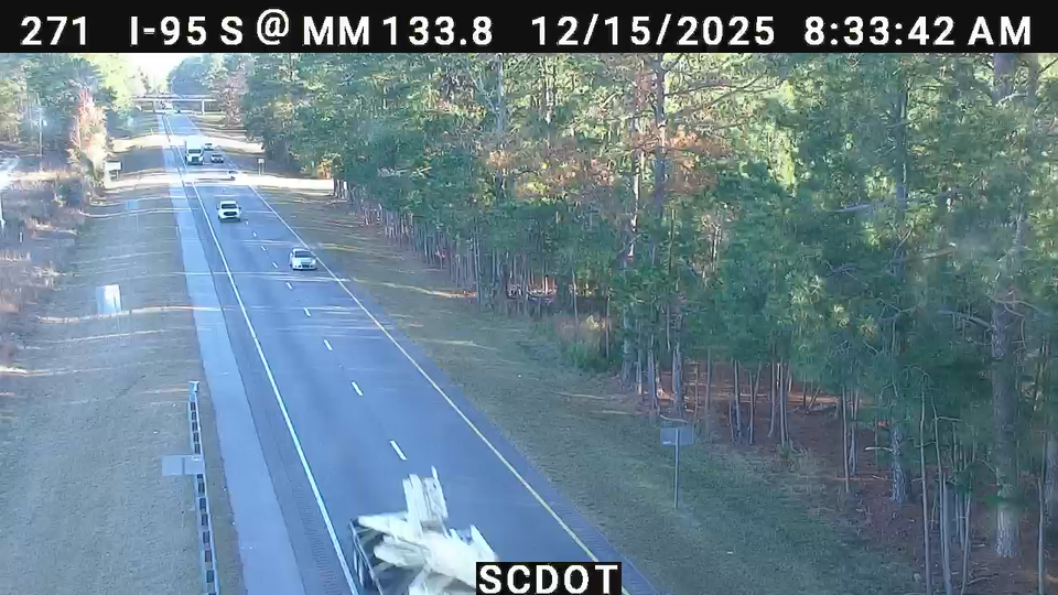Turbeville: I-95 S @ MM 133.8