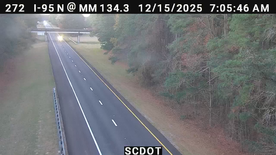 Turbeville: I-95 N @ MM 134.3