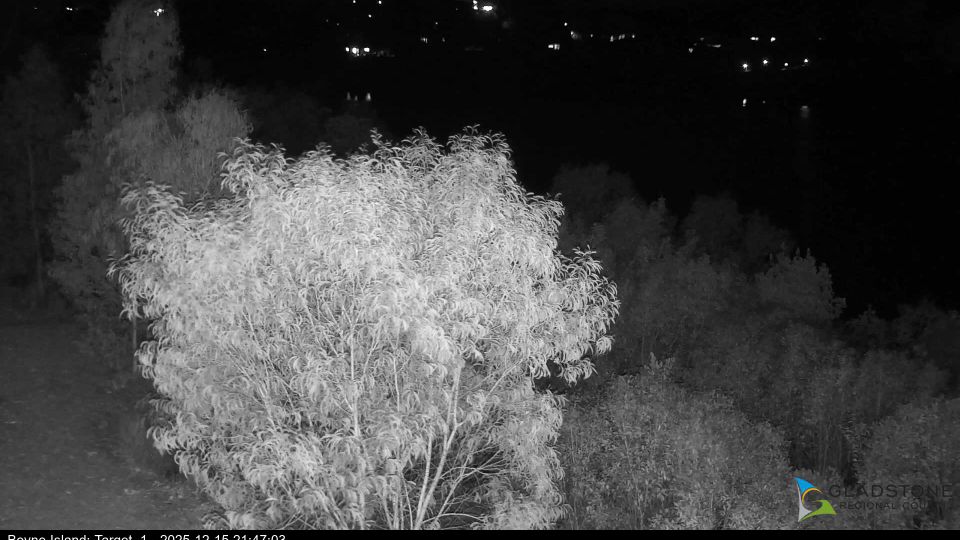 Boyne Island › South-east