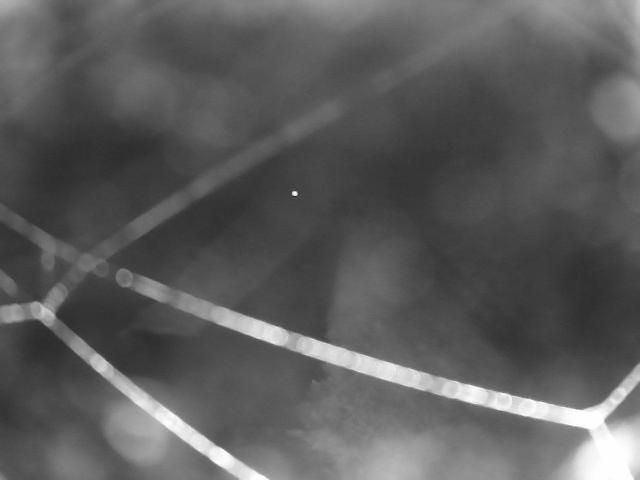 Канегасаки