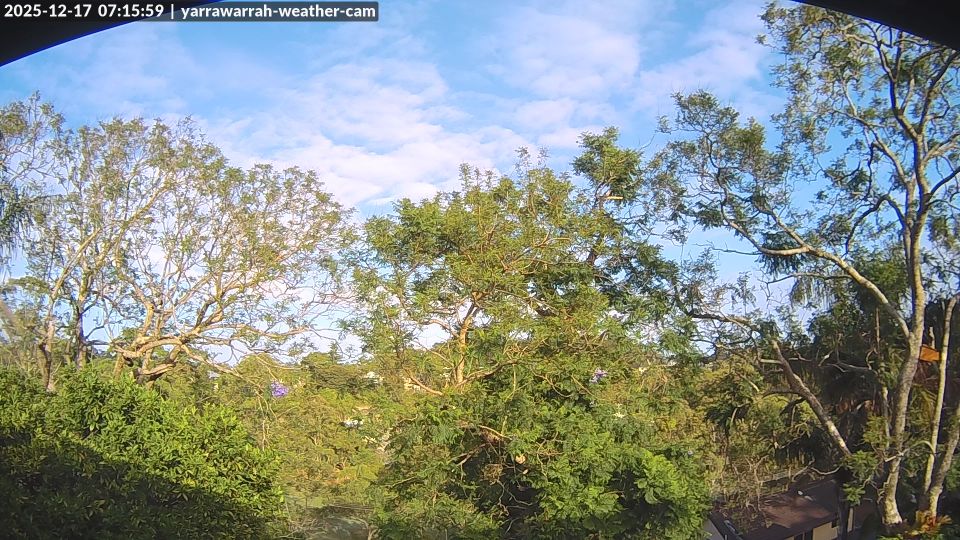 Helensburgh › North-west: Dobell Road Reserve