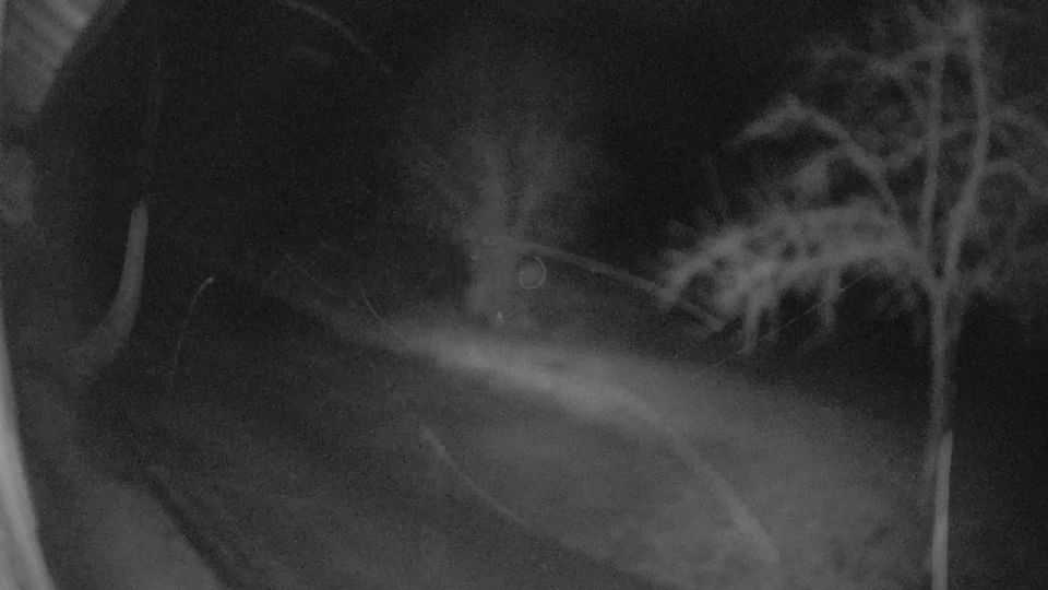 Luftenberg an der Donau