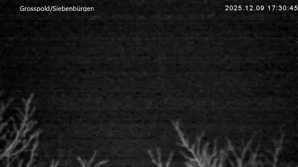 Miercurea Sibiului: Apoldu de Sus