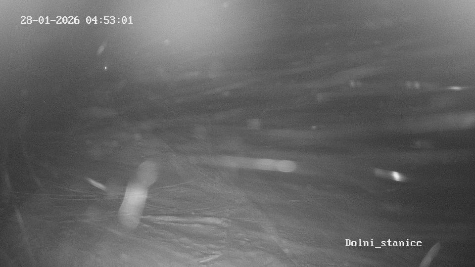 Destne v Orlickych horach