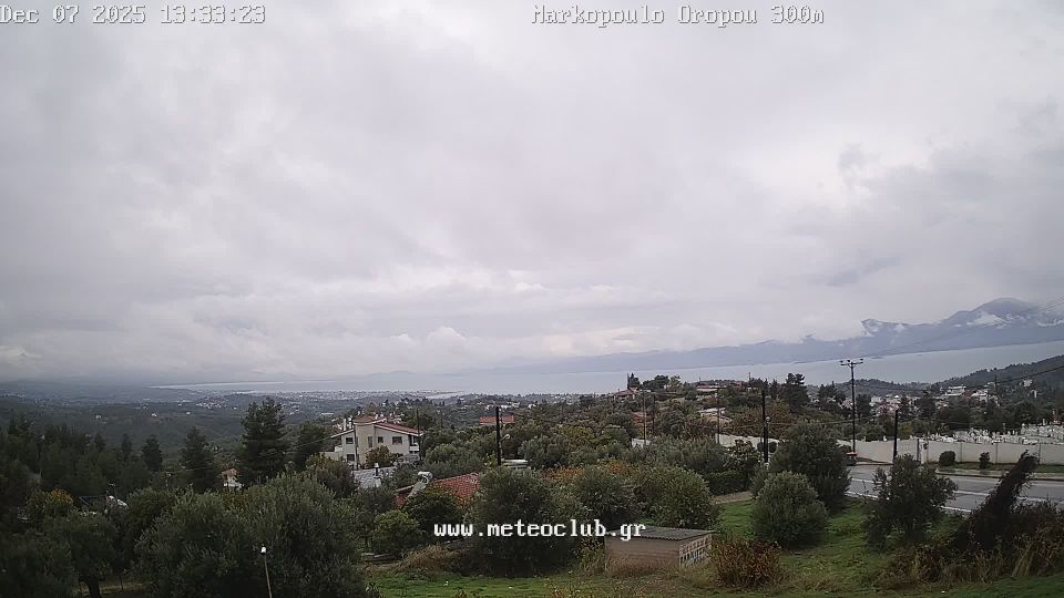 Nea Palatia › North-west: Markopoulo Oropou