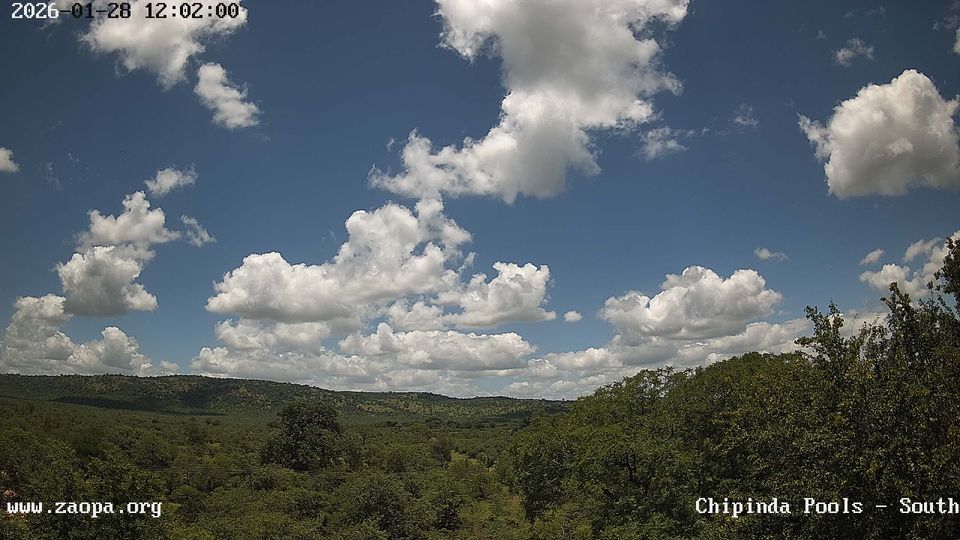 Chiredzi › South: Chipinda Pools 7 Tented Camp