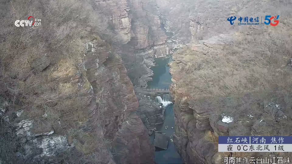 Anshangcun: Mangrove Nature Reserve