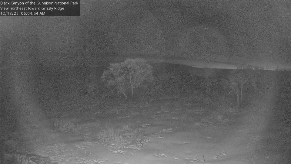 Montrose: Grizzly Ridge