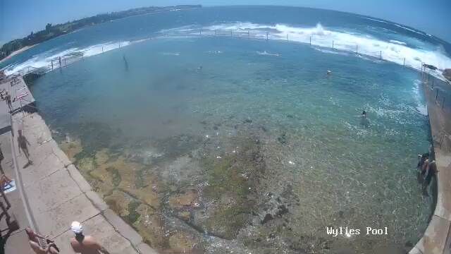 Sydney › South-east: Wylie's Baths