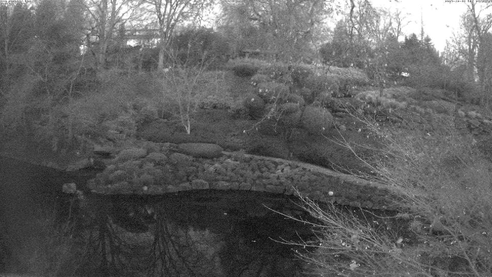 Kaiserslautern › North