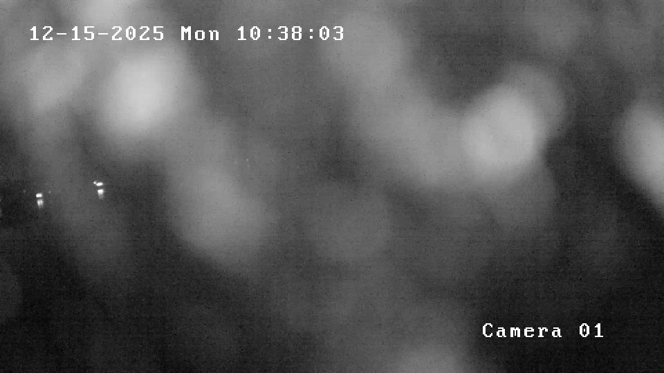 North Beach: Woahink Lake