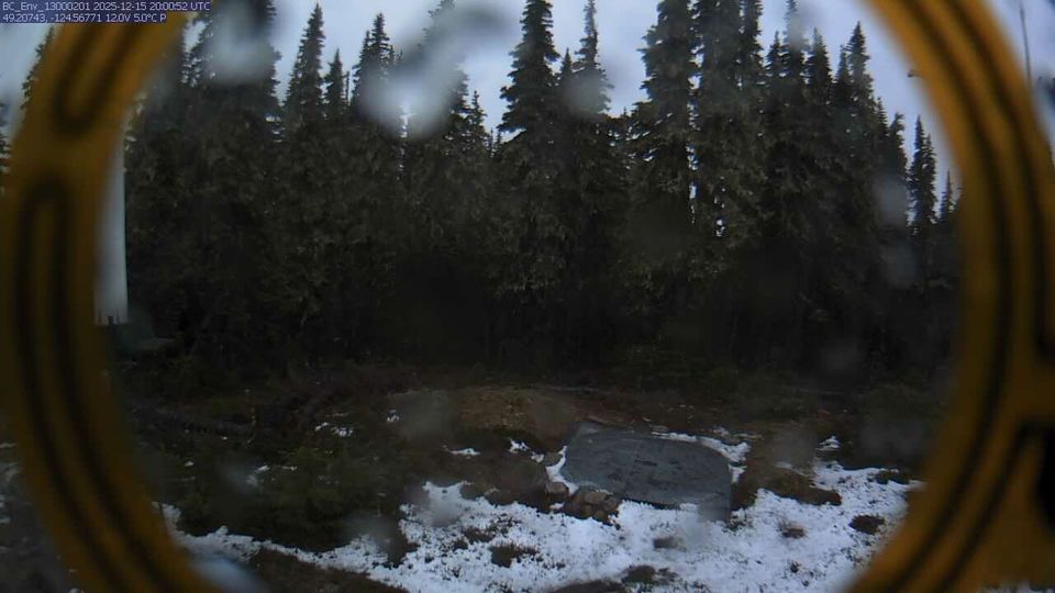 Area C: Mount Arrowsmith