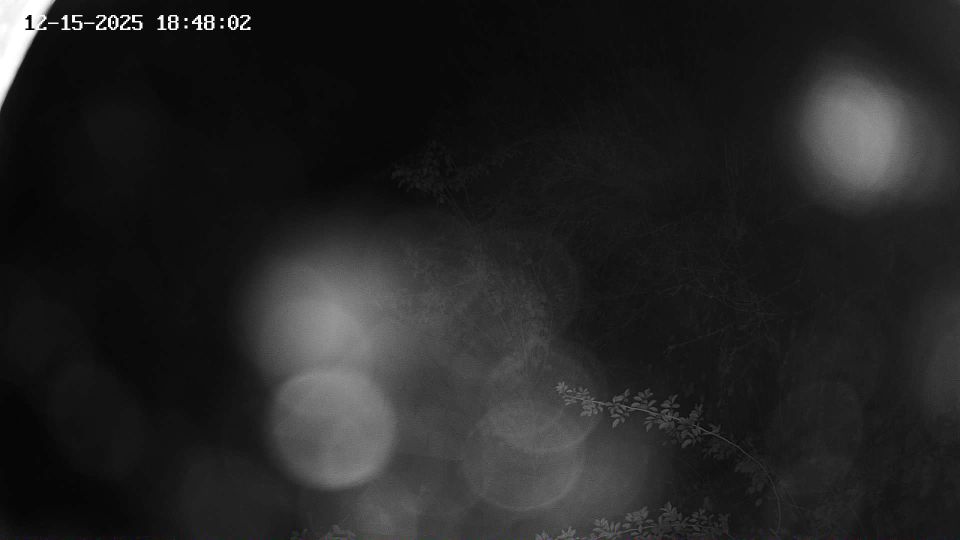 Castolovice › North-east