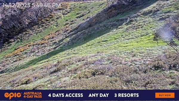 Harrietville › South-east