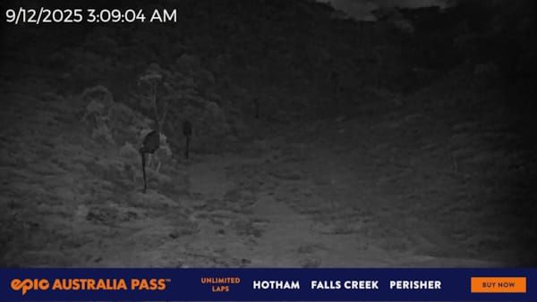 Harrietville › North-west