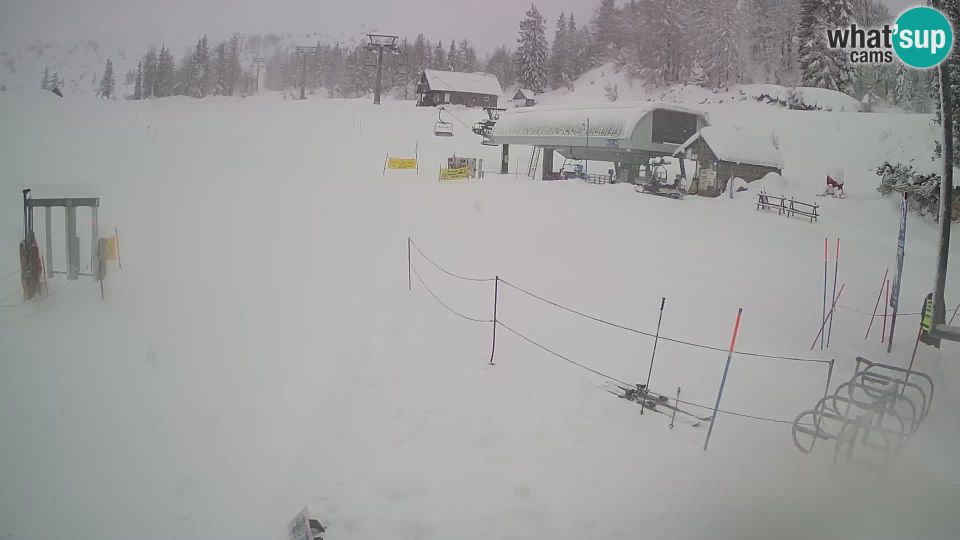 Bohinj: Vogel Ski Resort - Snow Park