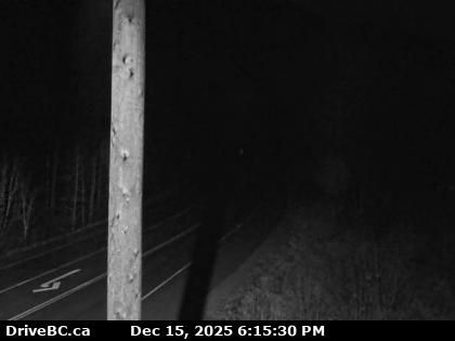 Area D › East: Highway 4 about 37 km west of Port Alberni at turn off for Taylor River Rest Area, looking east
