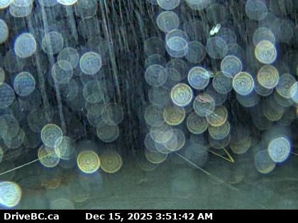 Area D › West: Highway 4 about 37 km west of Port Alberni at turn off for Taylor River Rest Area, looking west