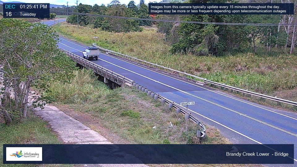 Cannonvale › North: Shute Harbour Road