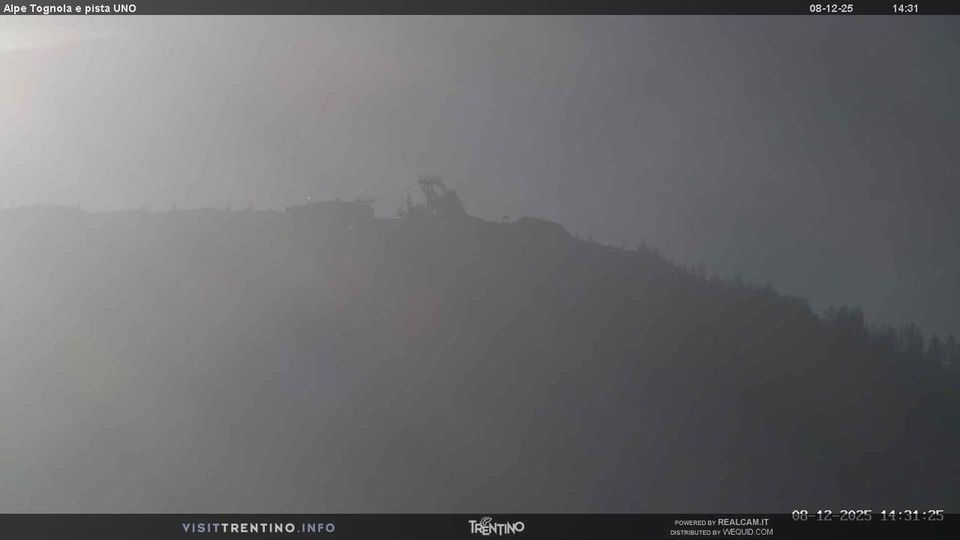 Primiero San Martino di Castrozza: Alpe Tognola