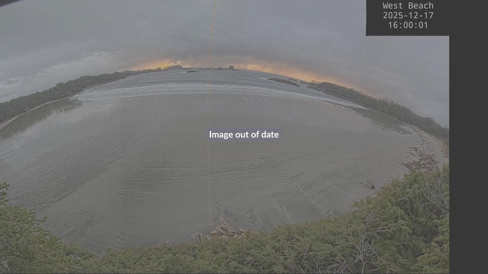 British Columbia › West: Calvert Island West Beach