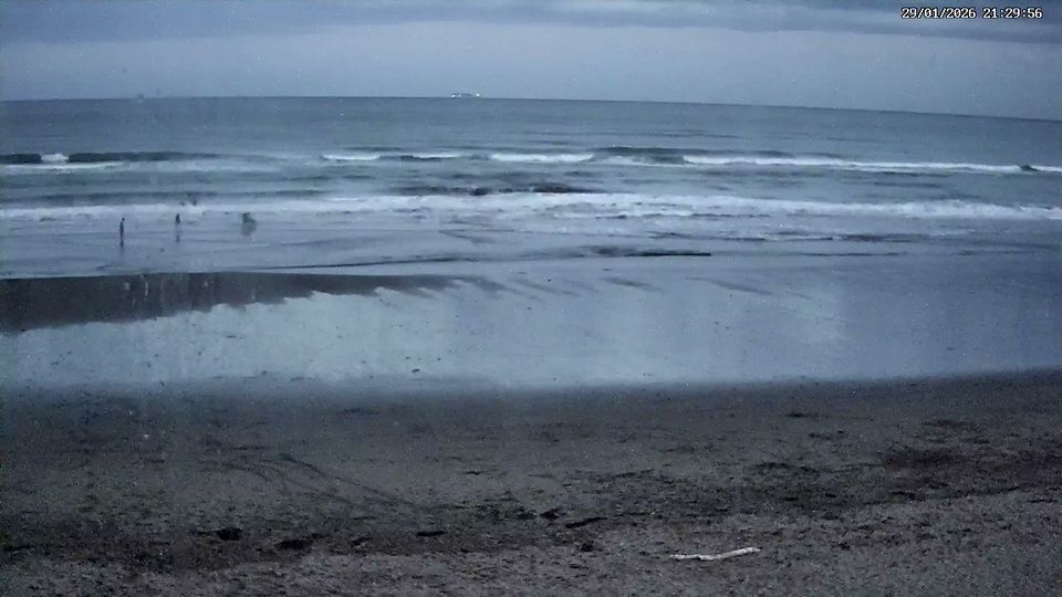 Coastal-Burwood Community