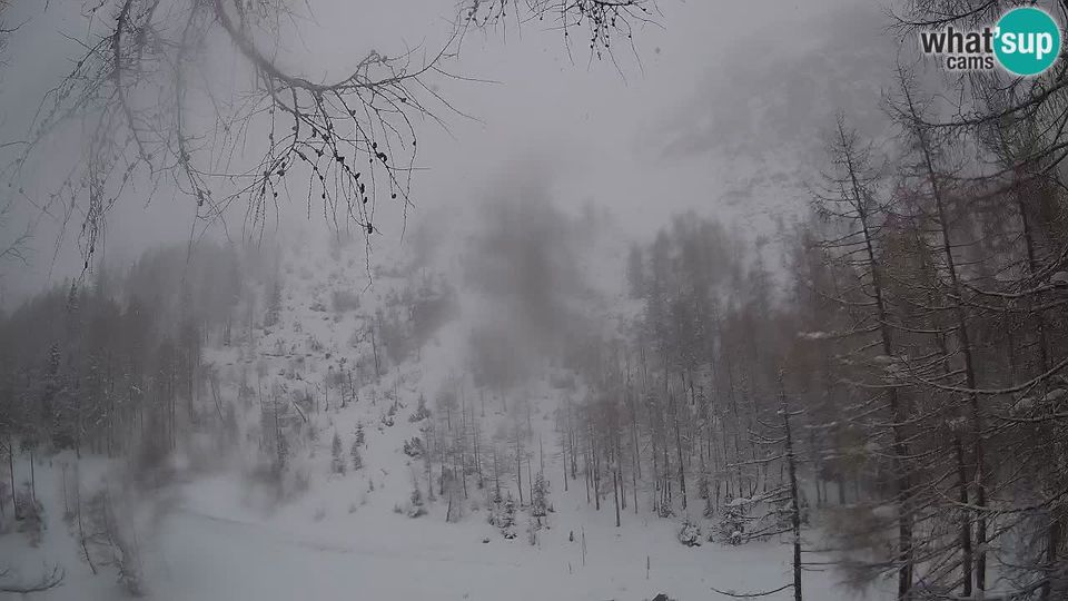 Kranjska Gora: Live webcam Vršič - Erjavčeva house - Slovenia