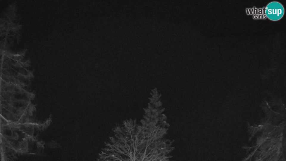 Kranjska Gora: Prisojnik