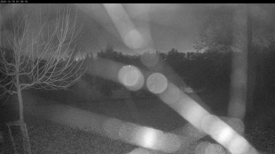 Steyregg › South-west: Campground Pleschinger See