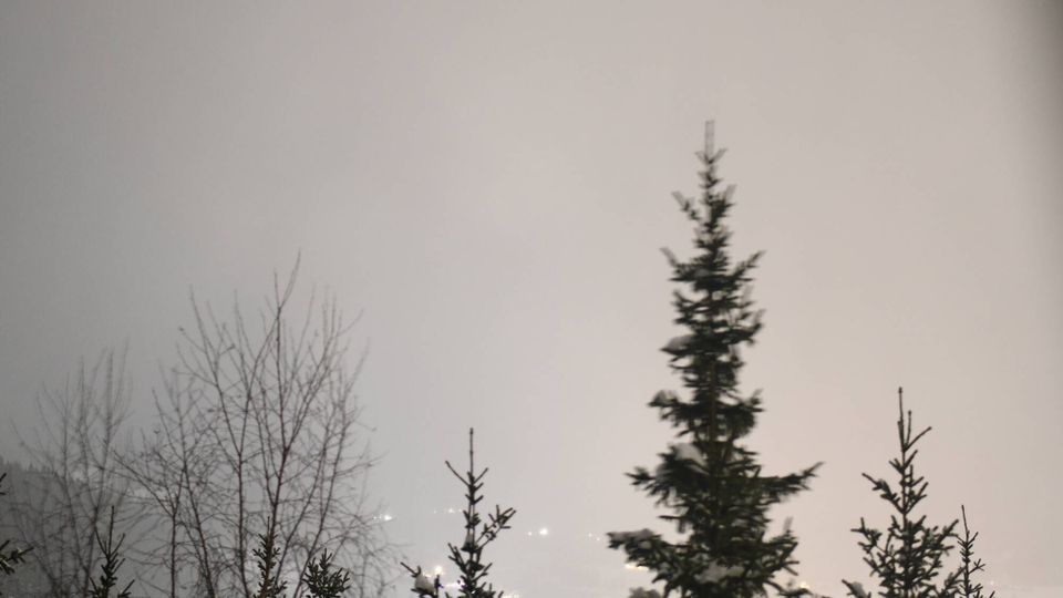 Grane › North: Trofors