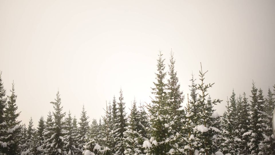 Grane › South: Trofors