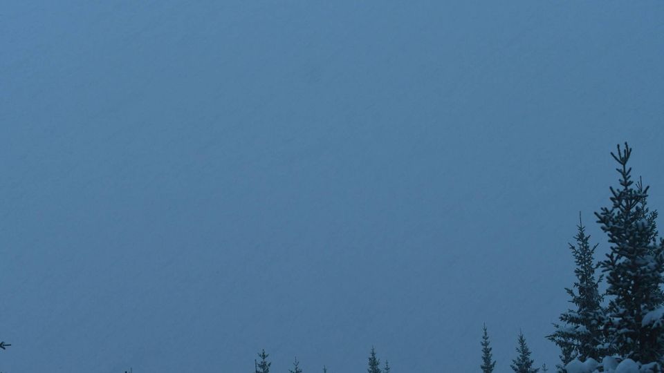 Grane › East: Trofors