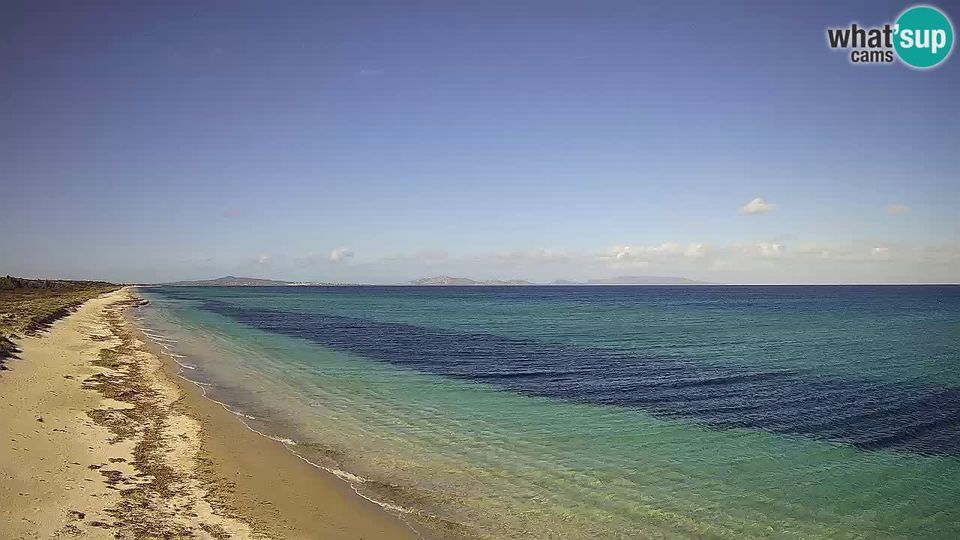 Isthintini: Beach Le Saline webcam live - Sardinia