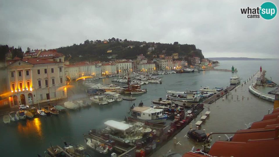 Piran: Live webcam from - Mandrač" - Amazing live view from Villa Piranesi