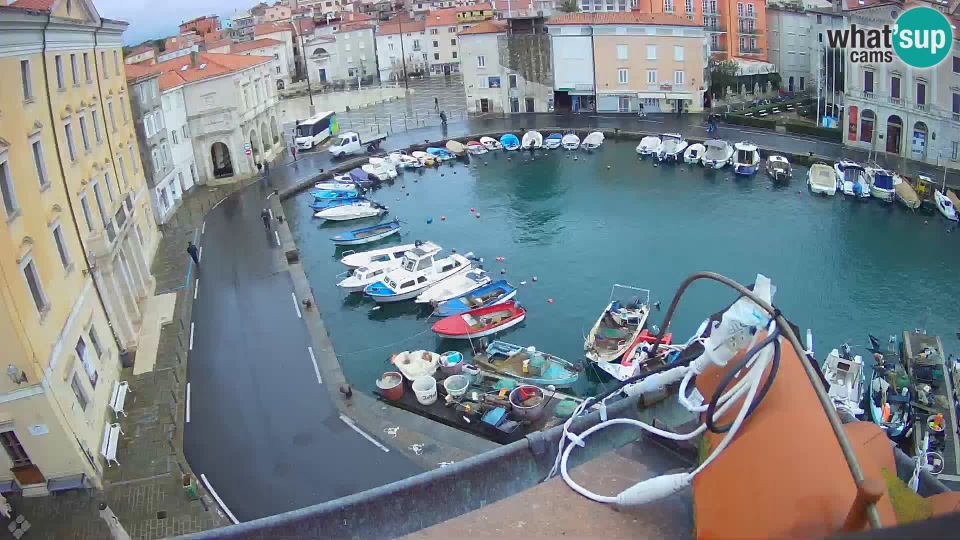 Piran: Villa Piranesi Live view - Slovenia
