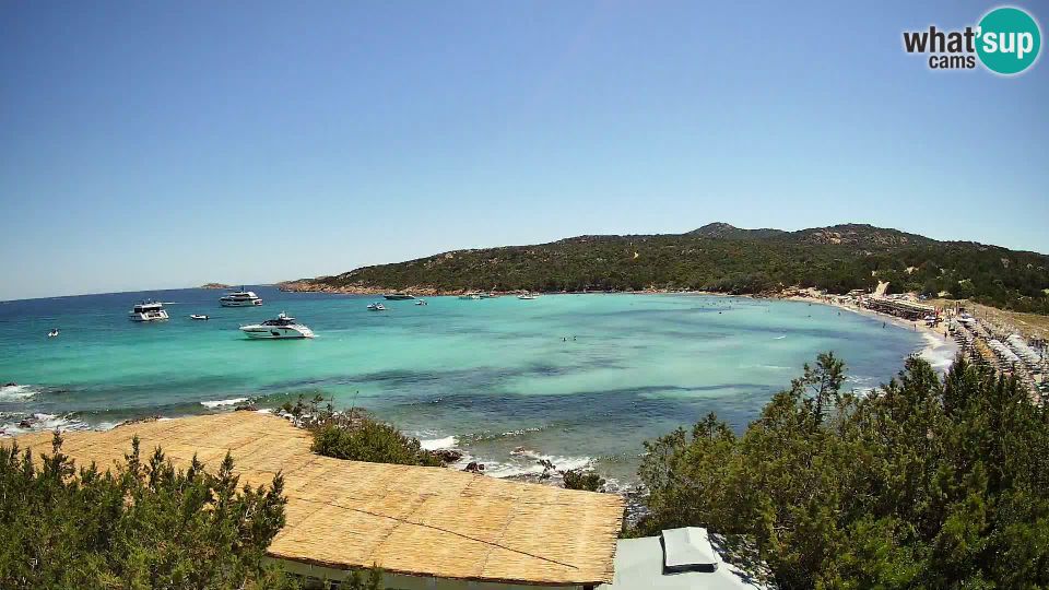 Alzachèna