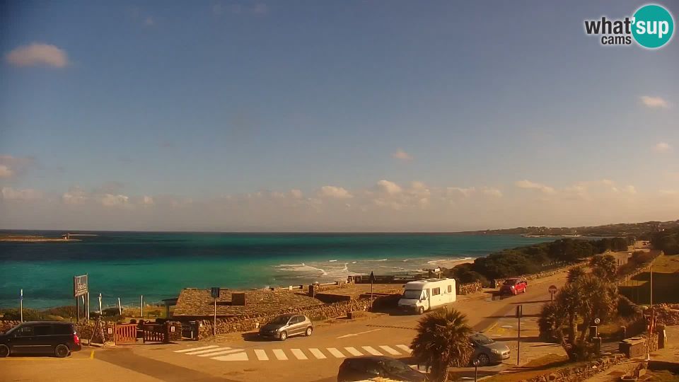 Isthintini › North-east: Isola Piana