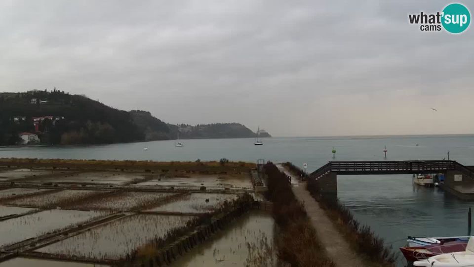 Piran: Krajinski park Strunjan