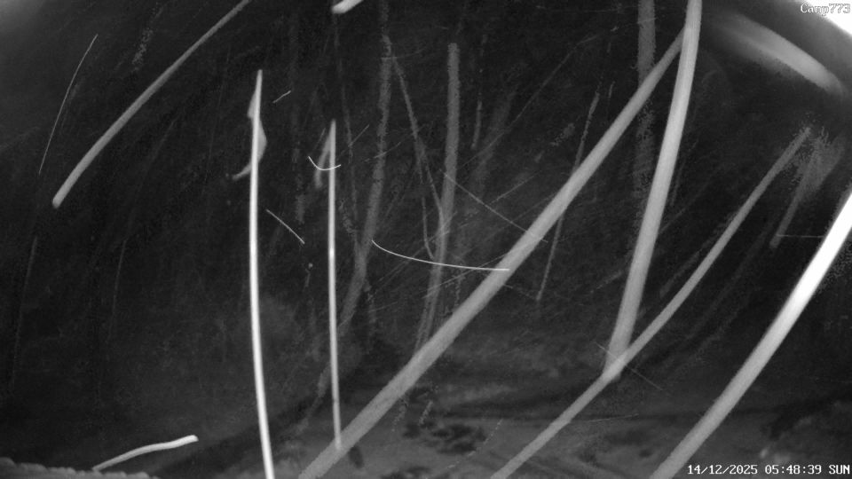 Jorpeland › North-east: Camp773 Foreneset, Jørpeland