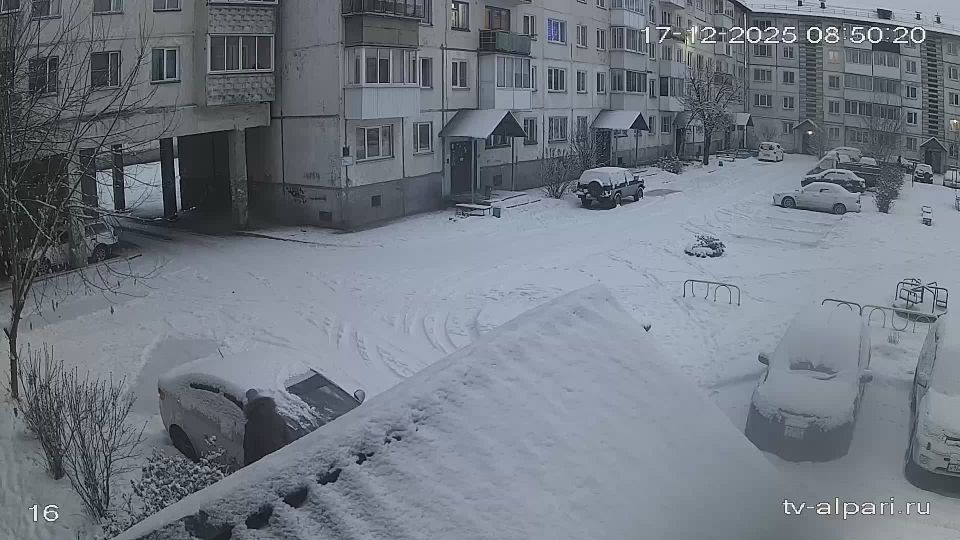 Шелеховское городское поселение: 4-й микрорайон: 4м-он 11дом во двор