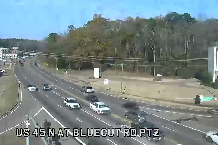Columbus: US 45 at Bluecut Rd